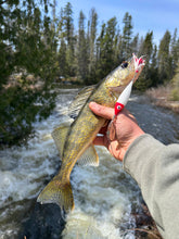 Load image into Gallery viewer, Minnow • Red Head • #4