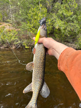 Load image into Gallery viewer, Minnow • Chartreuse • #4