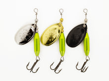 Load image into Gallery viewer, Spinner • Neon Shiner • #3