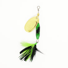 Load image into Gallery viewer, Spinner • Bullfrog • Dressed • #3
